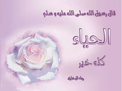 الحياء..خلق الإسلام