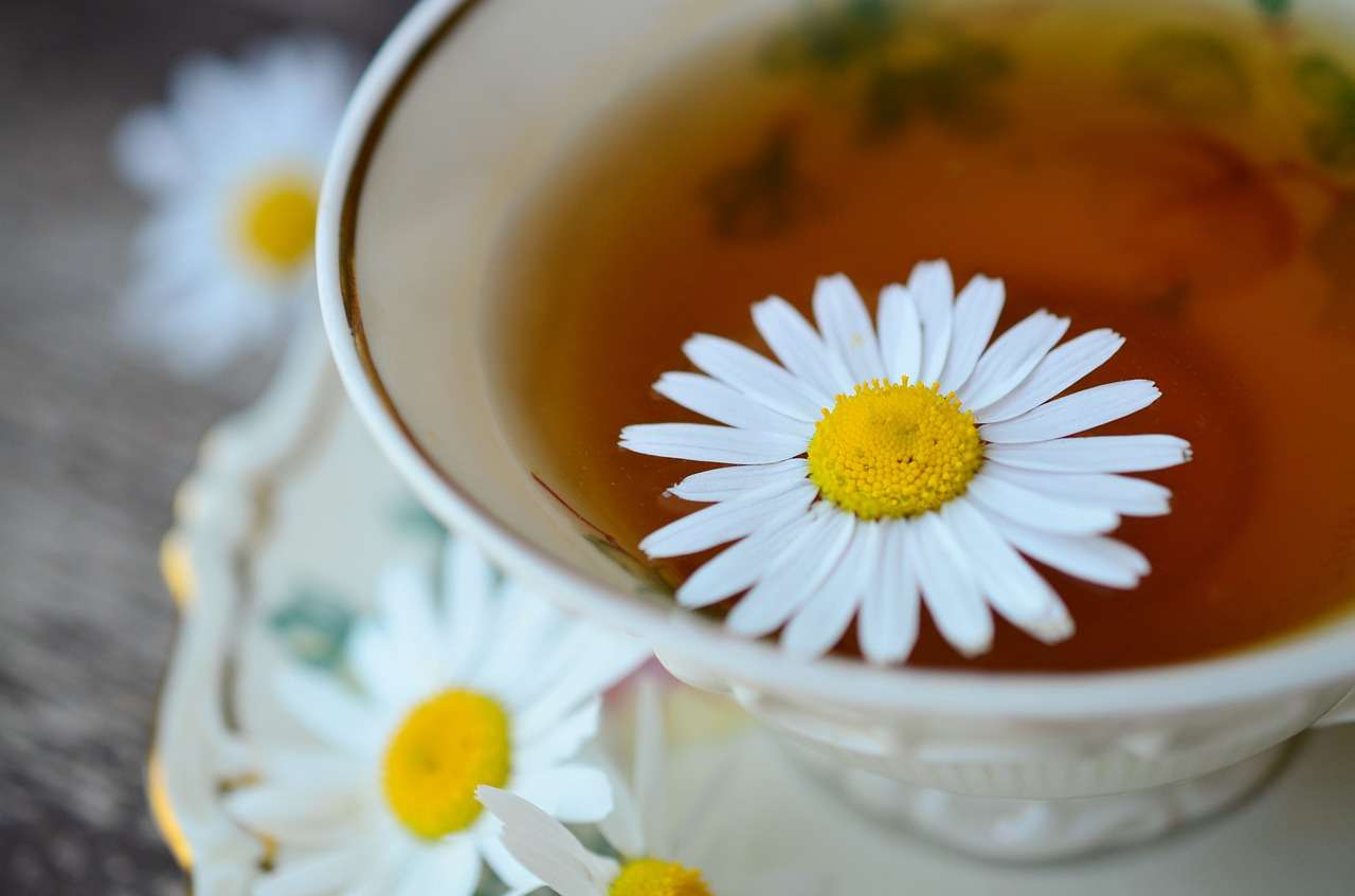 فوائد البابونج