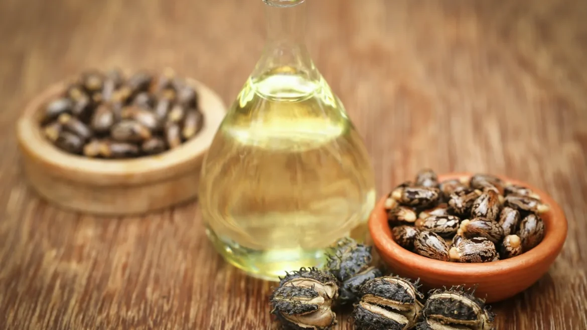 زيت الخروع للشعر